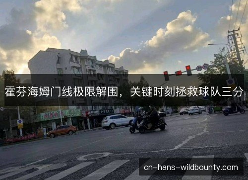 霍芬海姆门线极限解围，关键时刻拯救球队三分