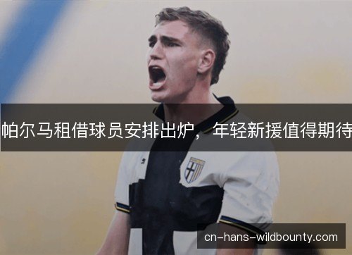 帕尔马租借球员安排出炉，年轻新援值得期待