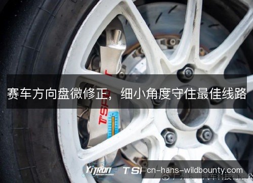 赛车方向盘微修正，细小角度守住最佳线路